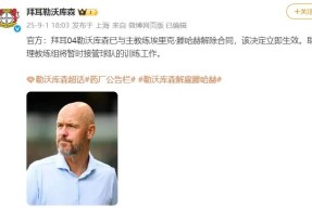  勒沃库森阵型图 