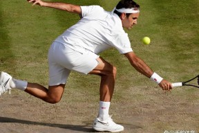 费德勒新星关键助攻表现惊艳，日本队未来可期！的简单介绍